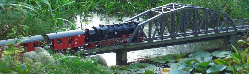 Bridge across the pond