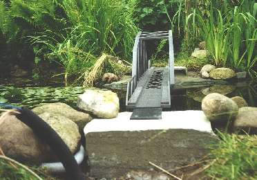 bridge's carcass