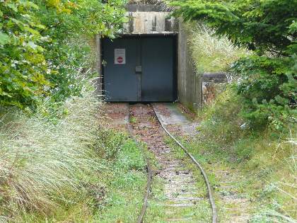Into the shelter