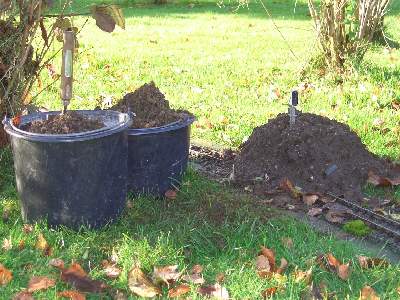 Anybody some topsoil?