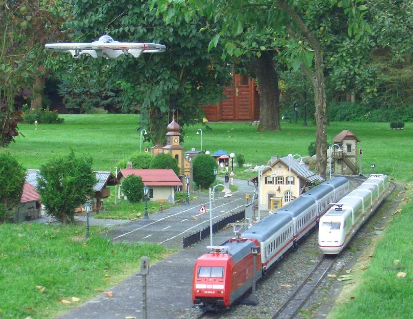 It seemed to be interested in trains
