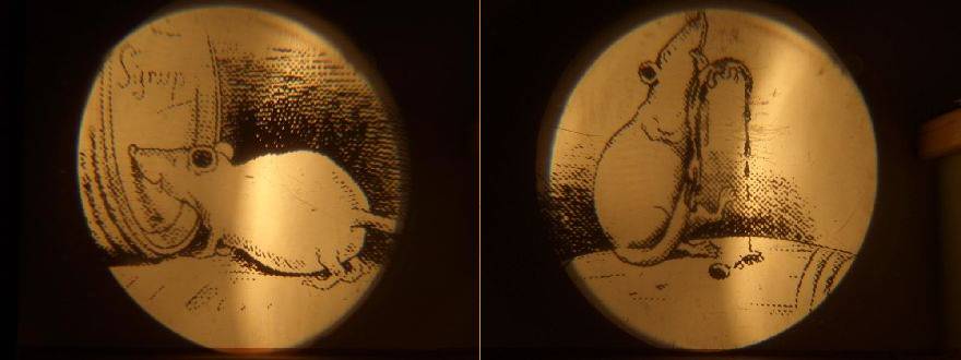 Die kluge Ratte